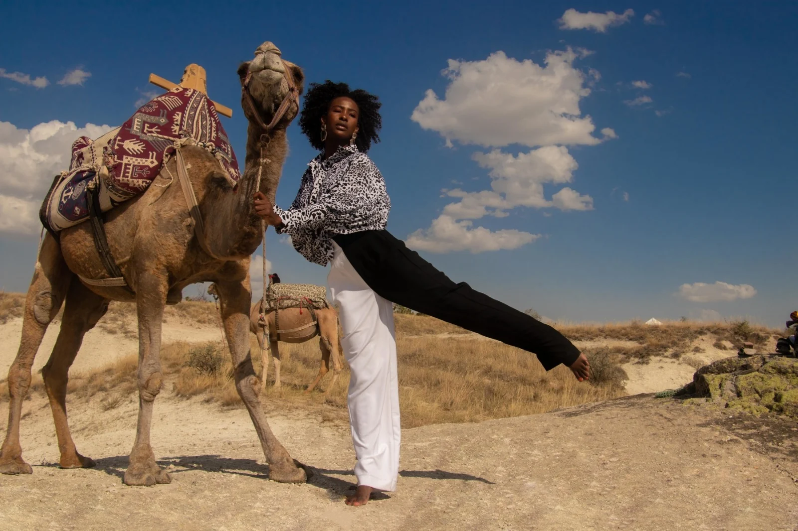 Cappadocia Camel Safari