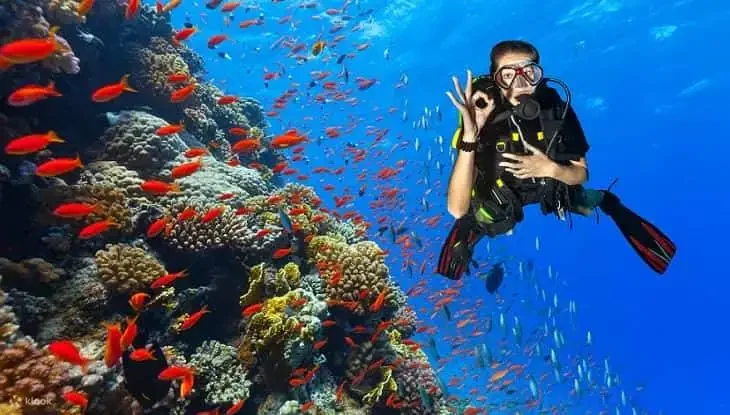 Scuba Diving in Kemer